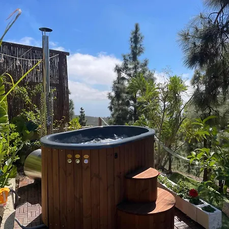 Venkovský dům Cueva Almendros Vilaflor